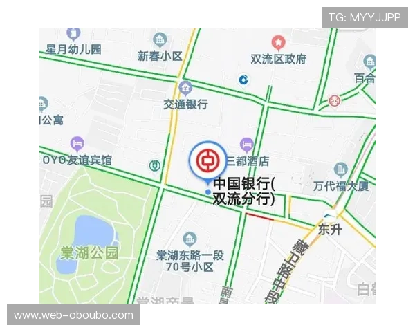 欧博开户条件详细解析，帮助用户提前准备资料顺利完成开户手续